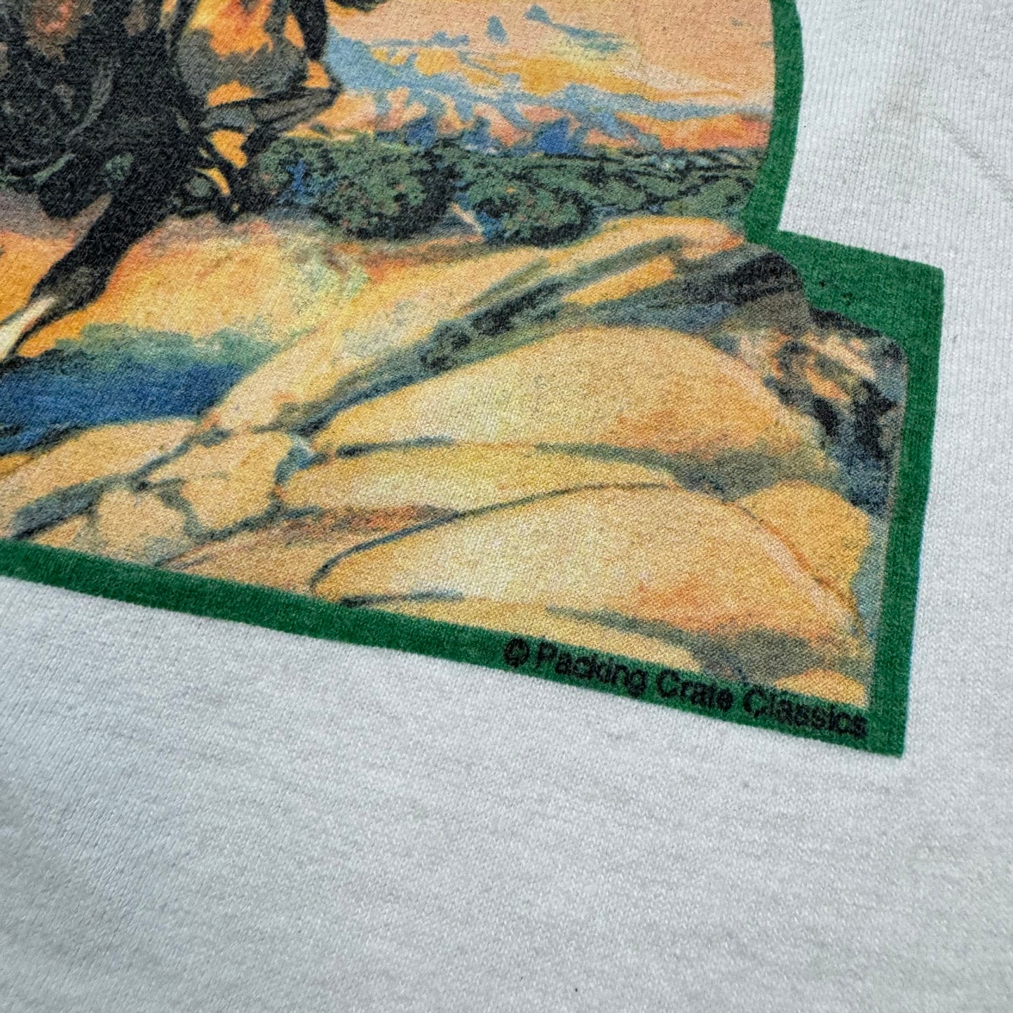 80s Kids Toddler Vintage Cowgirl Western Print White Single Stitch Short Sleeve T-Shirt 100% Cotton XS 4Y 5Y Baby Tee Made in USA