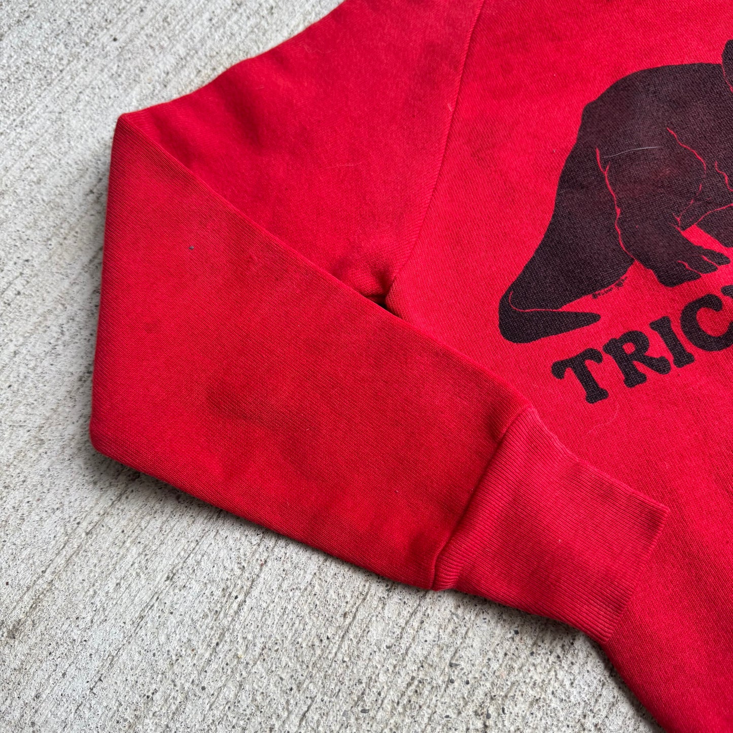 80s Kids Vintage Red Signal Pullover Crew Long Sleeve Sweatshirt Triceratops Dino Print S 6Y 7Y 8Y Made in USA