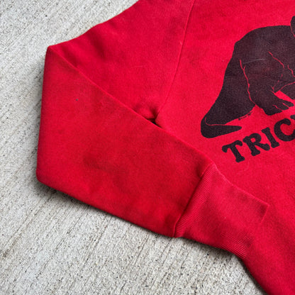 80s Kids Vintage Red Signal Pullover Crew Long Sleeve Sweatshirt Triceratops Dino Print S 6Y 7Y 8Y Made in USA