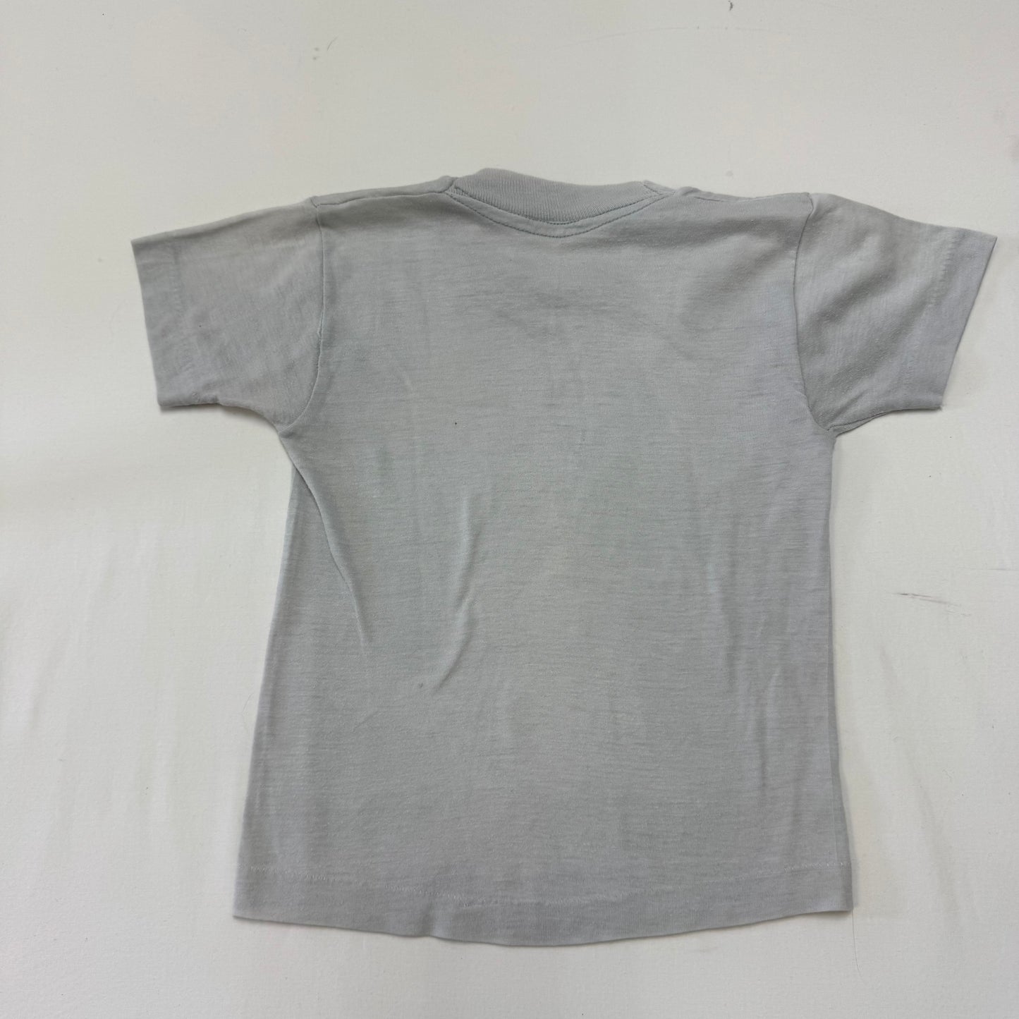 80s Kids Toddler Vintage He-Man Heat Transfer Print Gray Single Stitch Short Sleeve T-Shirt Junior Starts 4T Made in USA