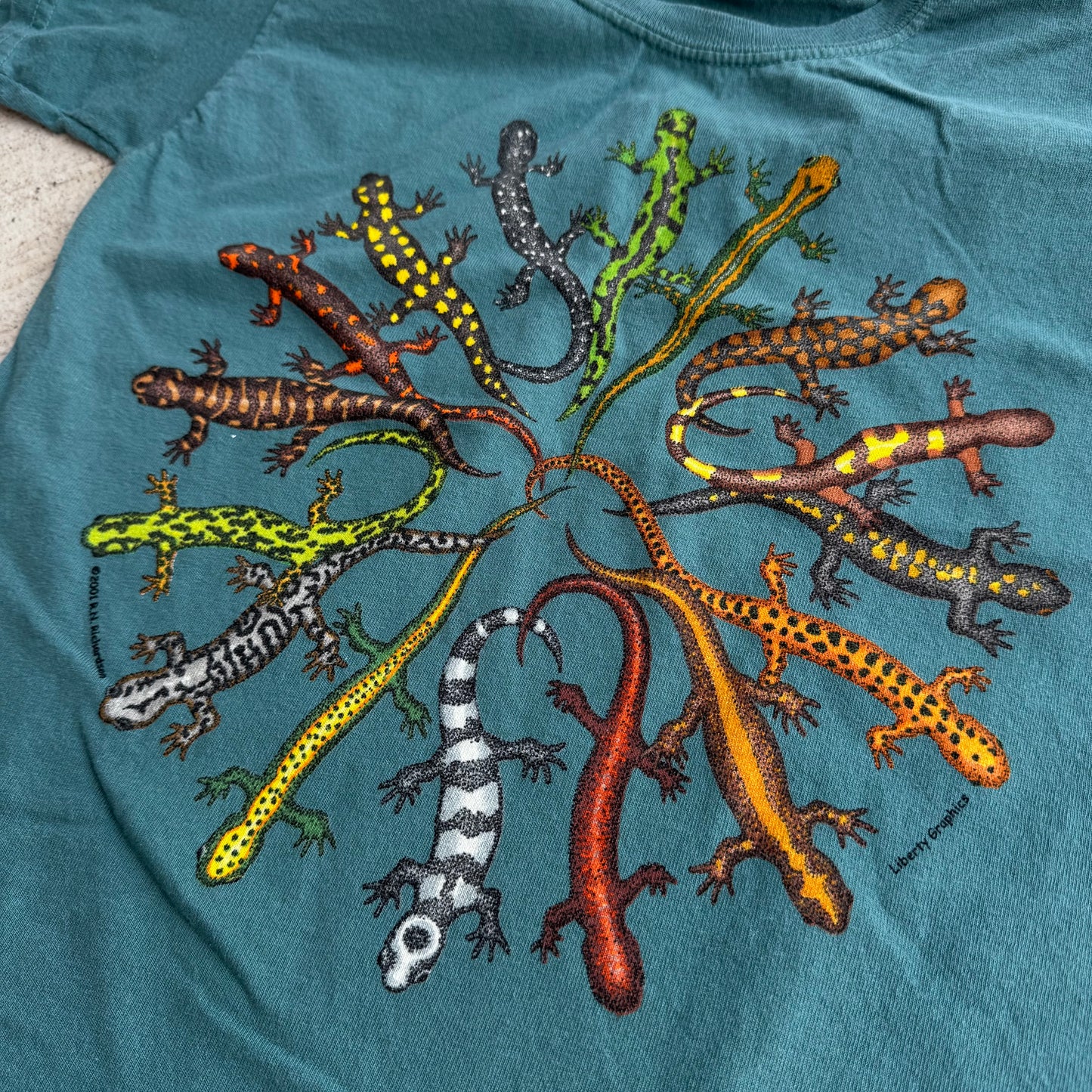 Early 2000s Kids Vintage Lizards Print Teal 100% Cotton T-Shirt XS 6-8Y Baby Tee