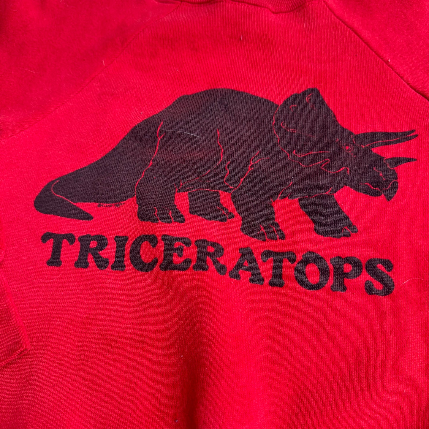 80s Kids Vintage Red Signal Pullover Crew Long Sleeve Sweatshirt Triceratops Dino Print S 6Y 7Y 8Y Made in USA