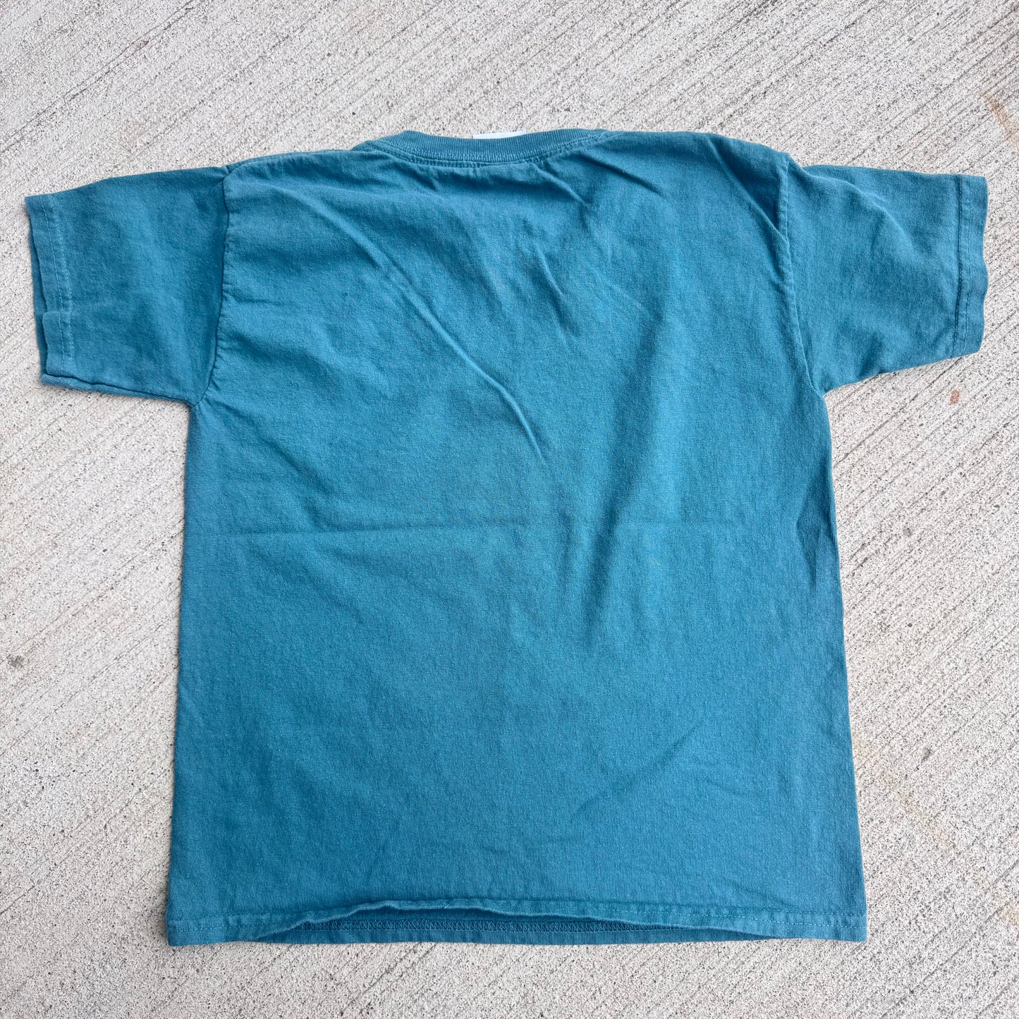 Early 2000s Kids Vintage Lizards Print Teal 100% Cotton T-Shirt XS 6-8Y Baby Tee