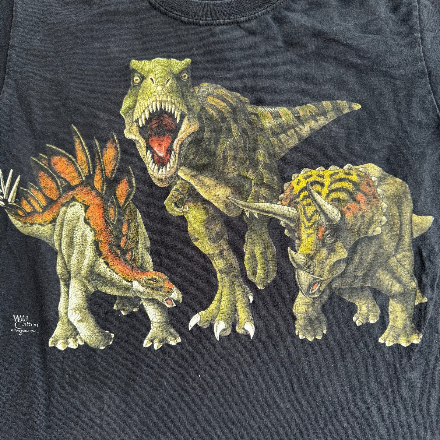 Kids Vintage Sarett Nature Centre Dinosaur Double Sided Black T-Shirt 7Y 8Y 9Y